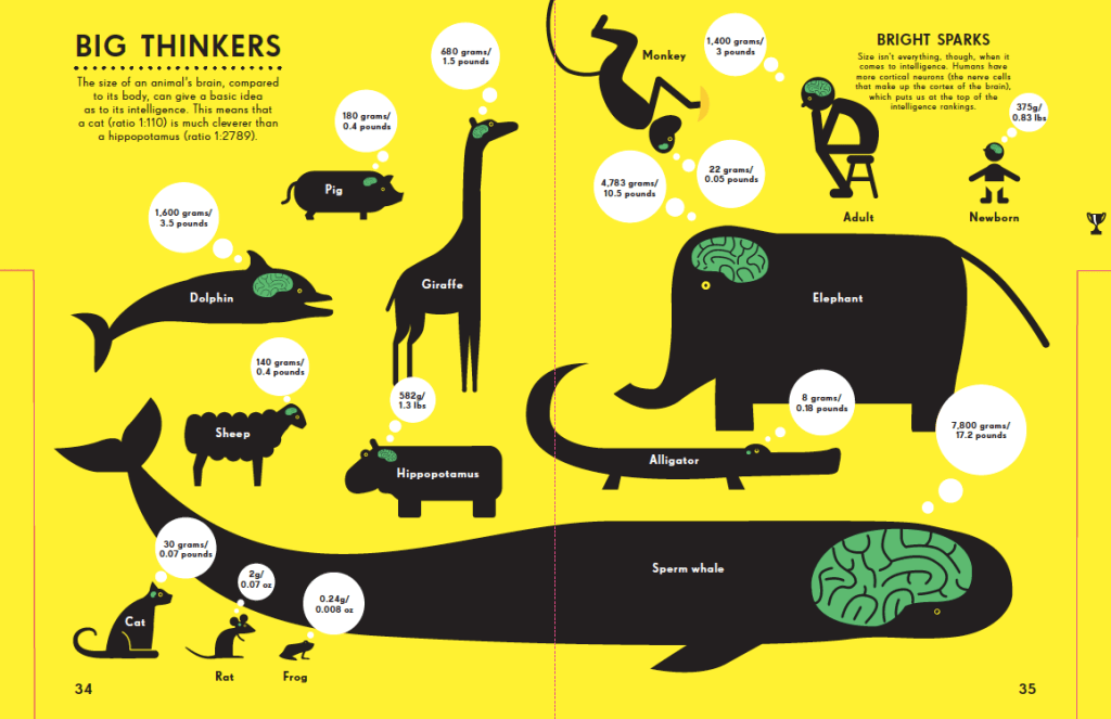 Brain size by Nicholas Blechman