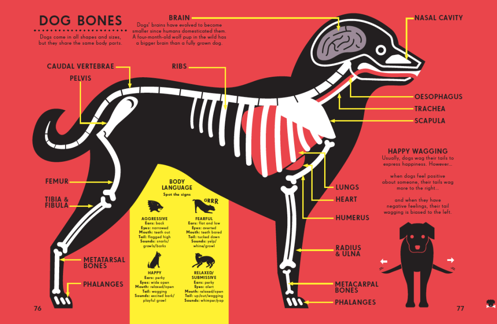 The kids are all bright: infographics for all&nbsp;ages