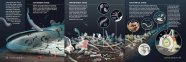 The Science Of Dataviz With Jen Christiansen Simon Rogers
