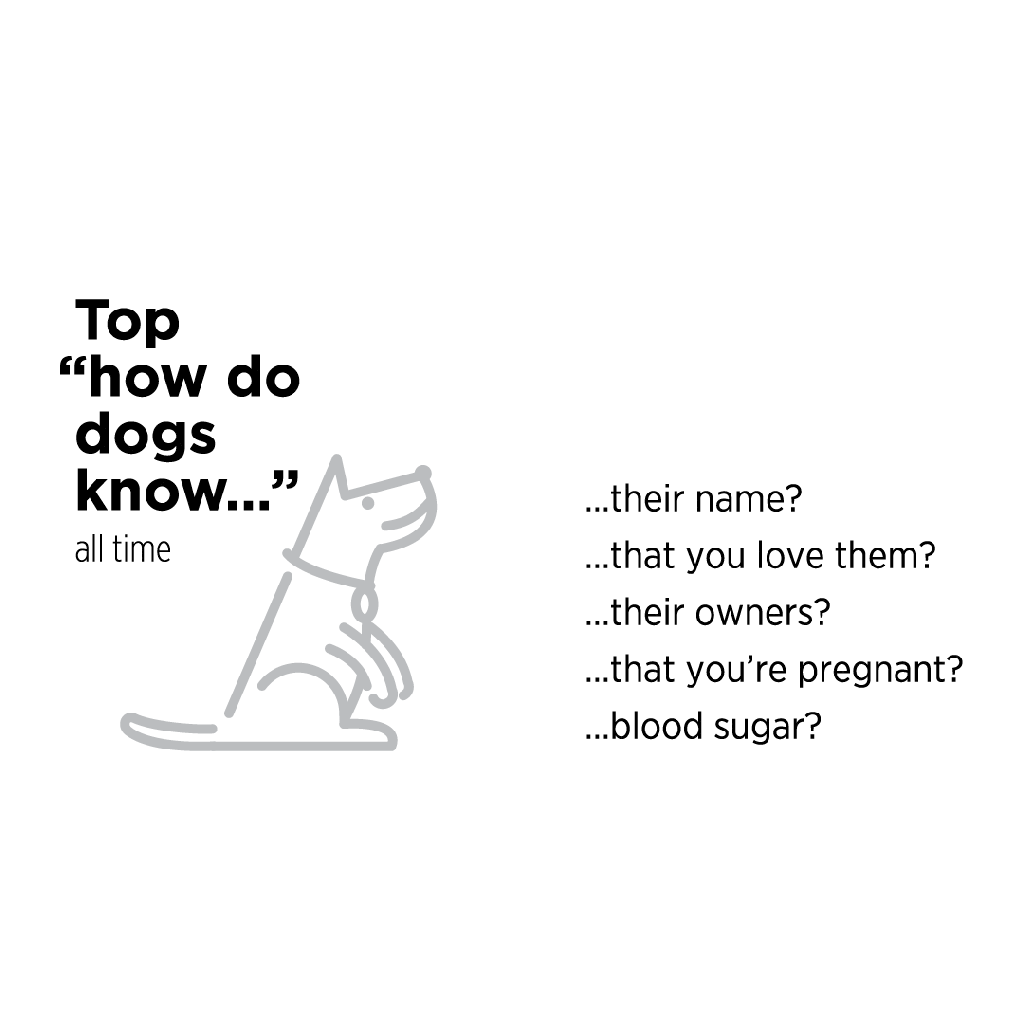 Gallery: animated What We Ask Google&nbsp;graphics