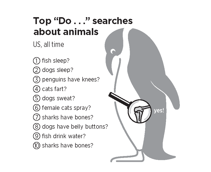 New pages from ‘What We Ask Google’